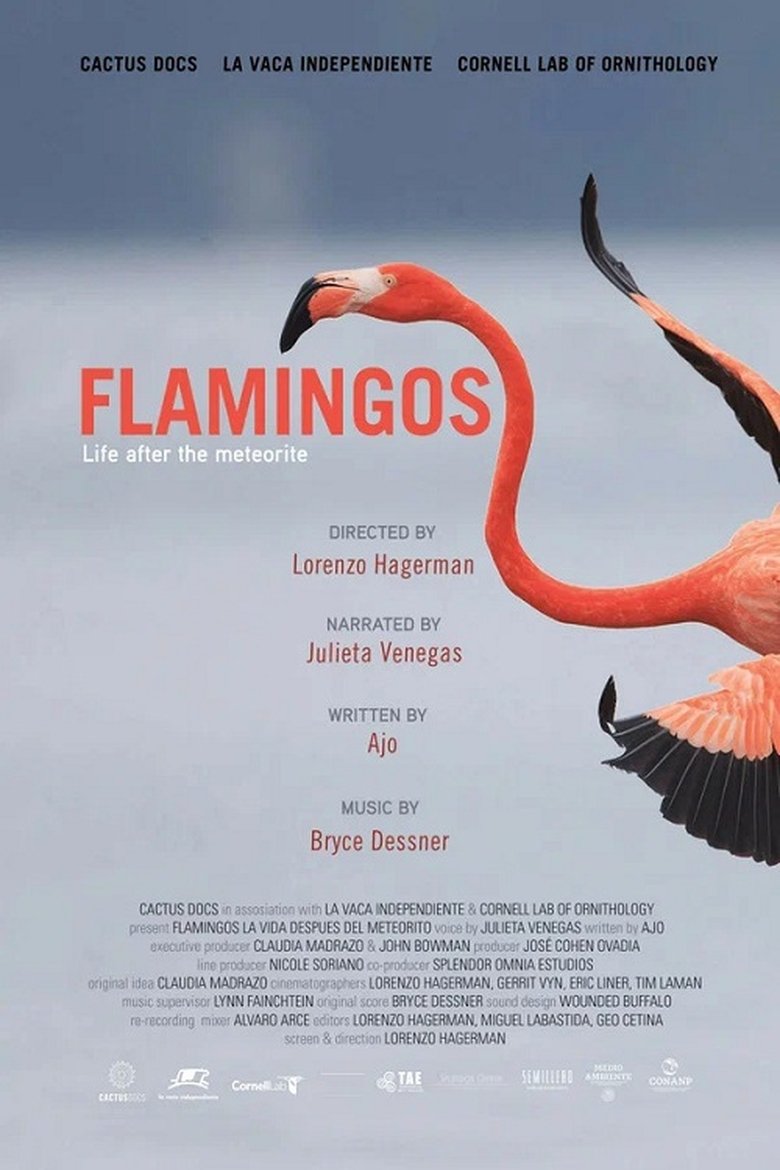 Poster of Flamingos: Life After the Meteorite