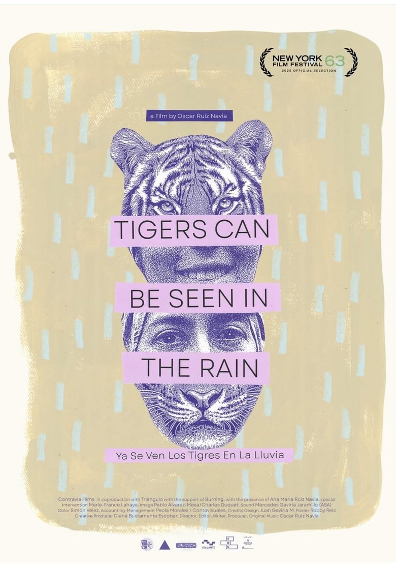 Poster of Tigers Can Be Seen In The Rain