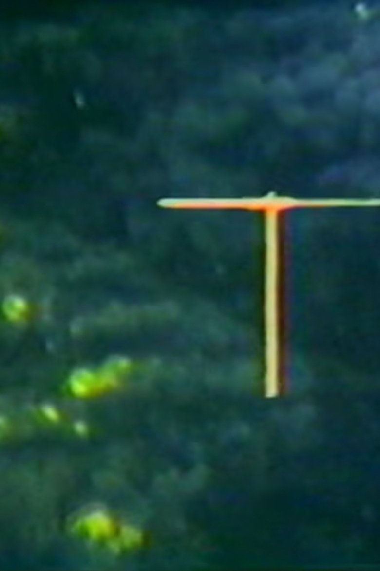 Poster of Mobius Film Loop Propellers