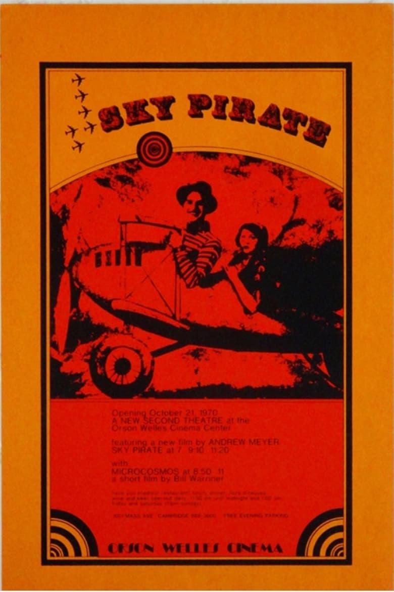 Poster of The Sky Pirate