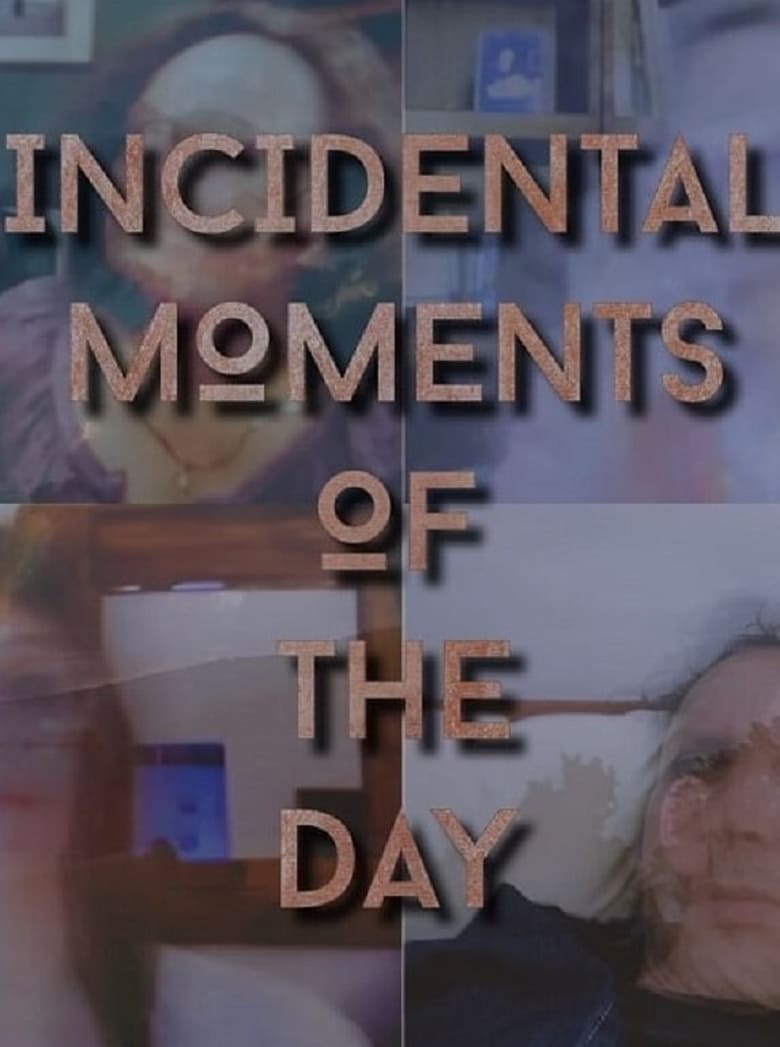 Poster of Incidental Moments of the Day