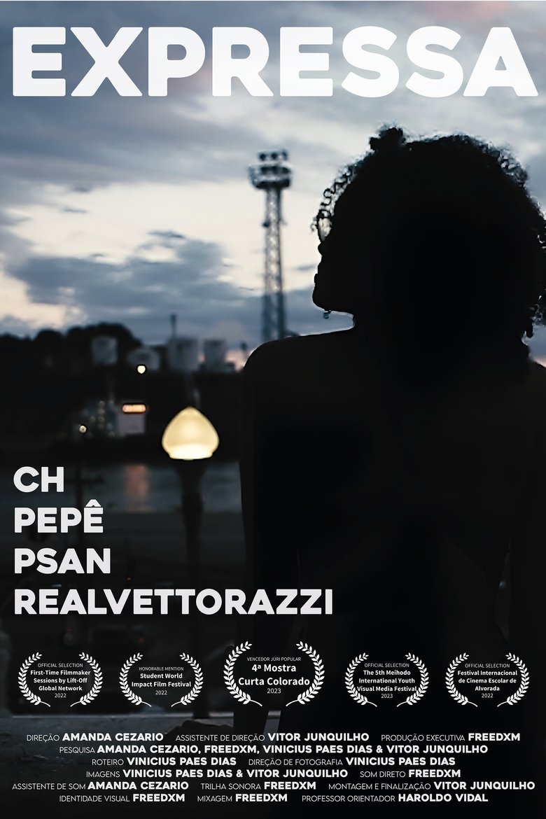 Poster of Expressa