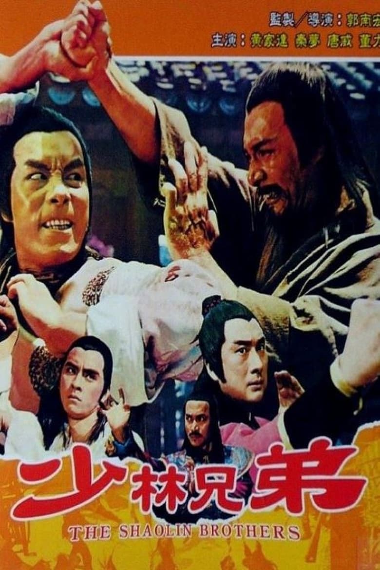 Poster of The Shaolin Brothers