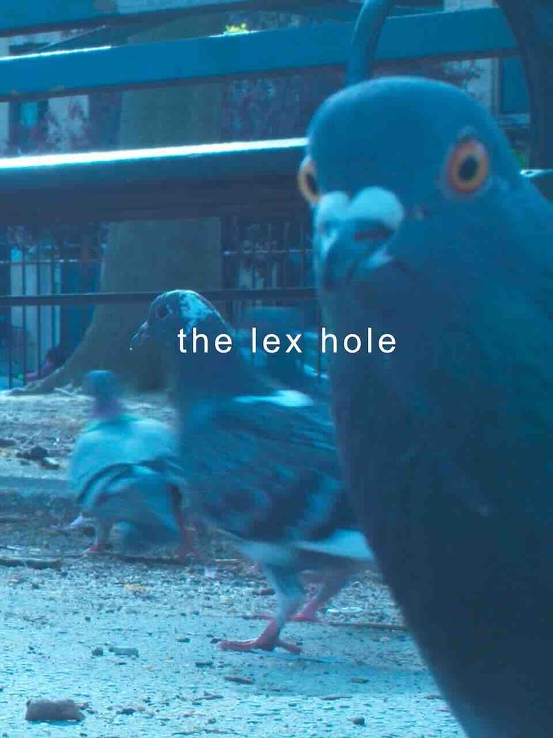 Poster of The Lex Hole