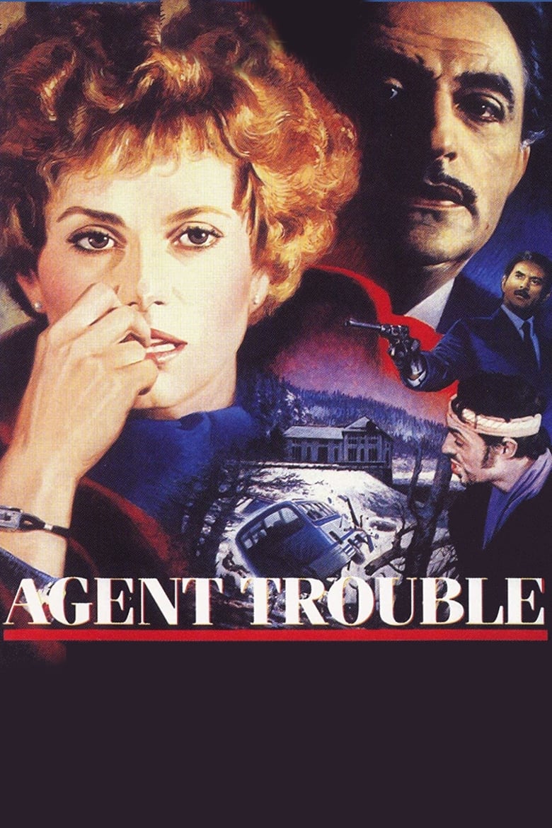 Poster of Agent Trouble