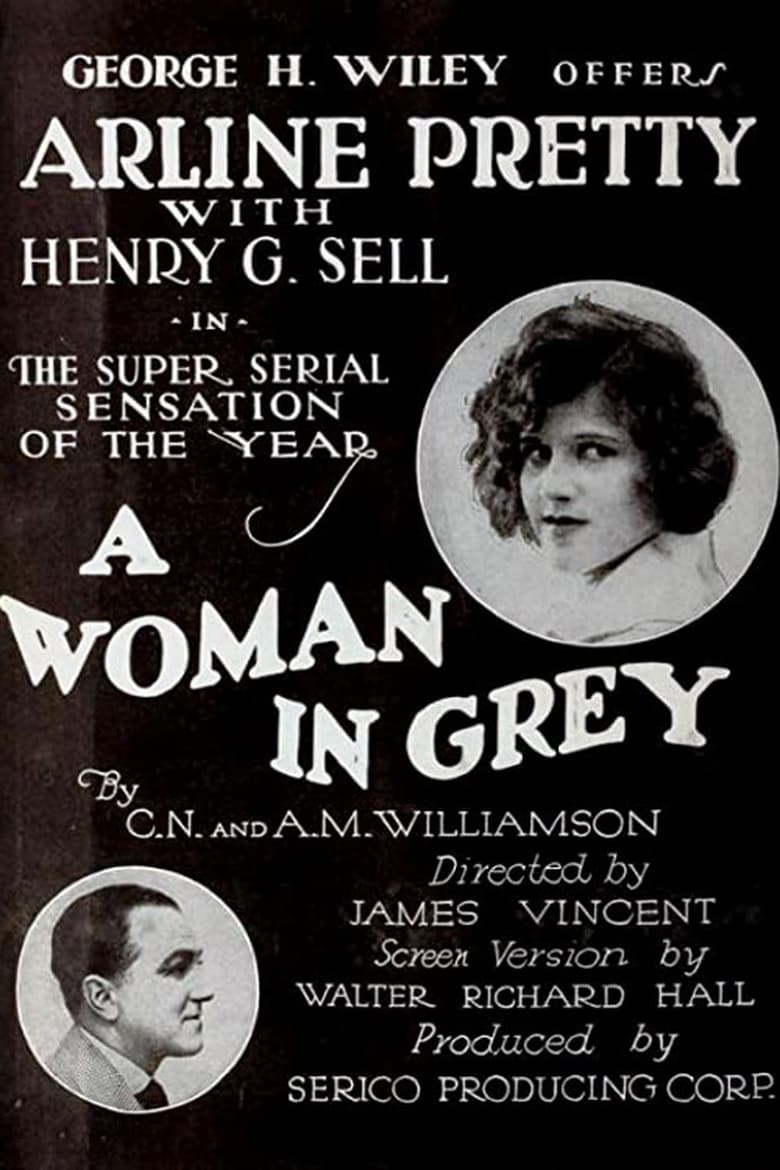 Poster of A Woman in Grey
