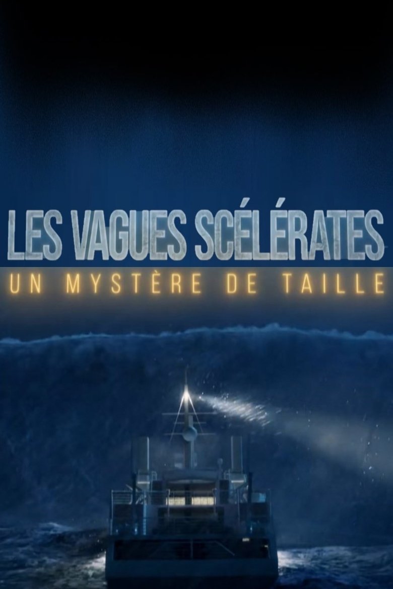 Poster of Les vagues scelerates un mystere de taille
