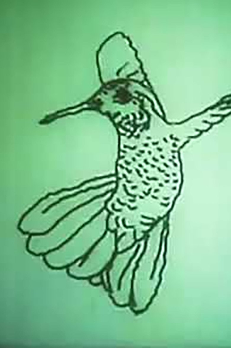 Poster of Hummingbird