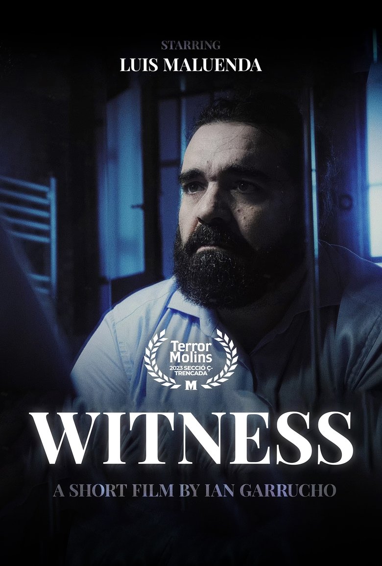 Poster of Witness