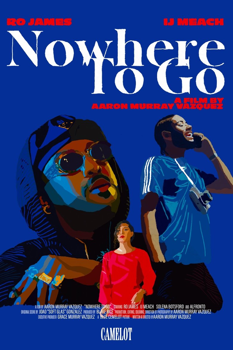 Poster of Nowhere To Go