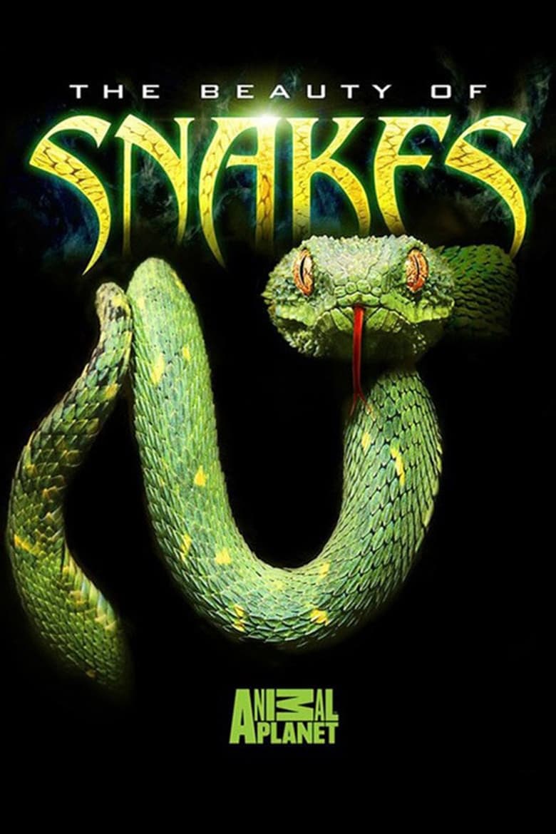Poster of The Beauty of Snakes