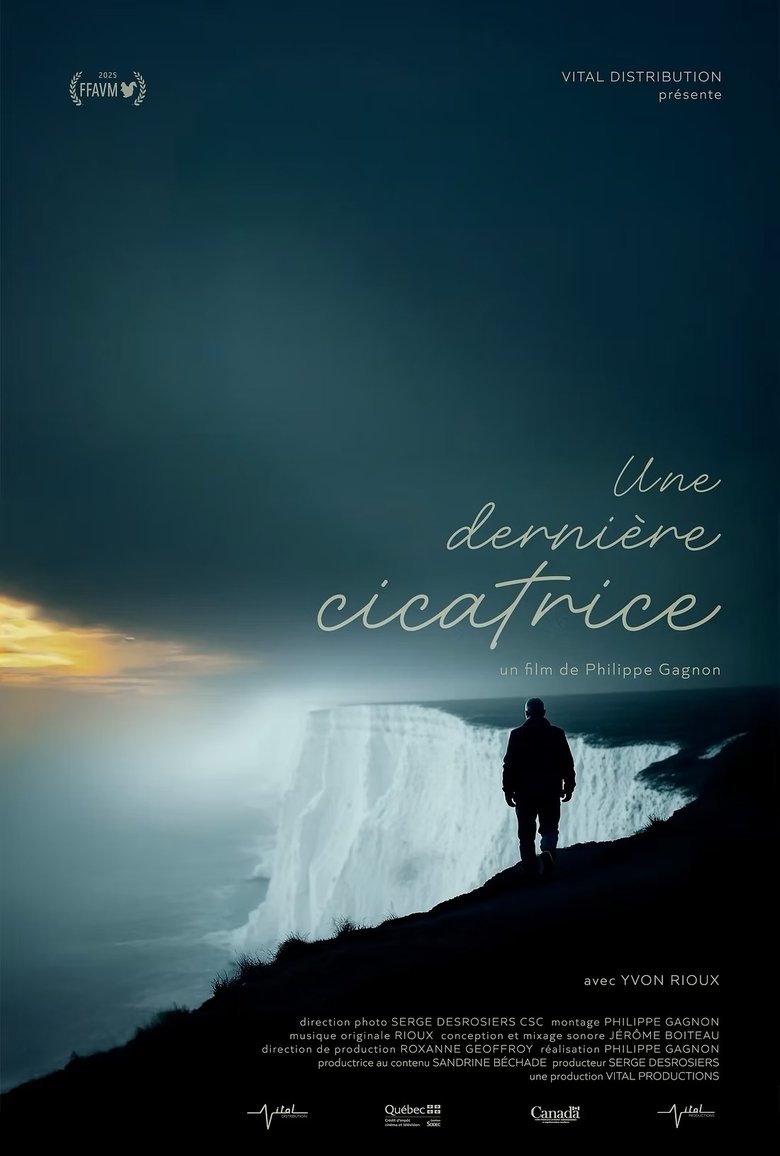 Poster of The Last Scar