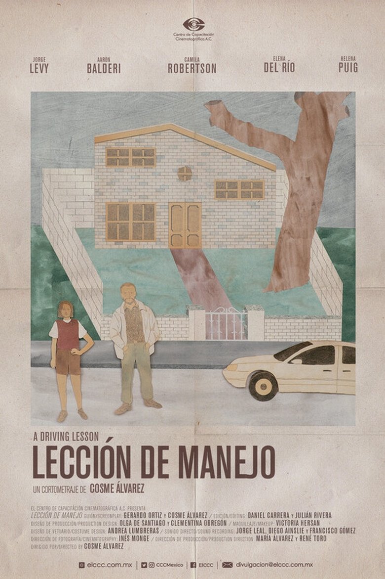 Poster of A Driving Lesson