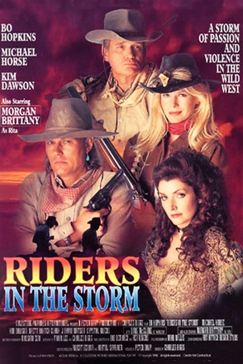 Poster of Riders in the Storm