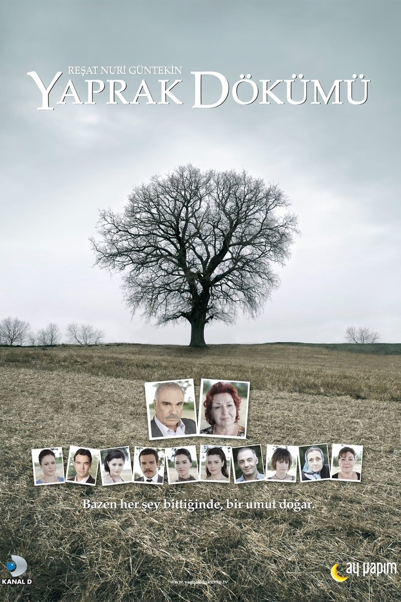 Poster of Falling Leaves