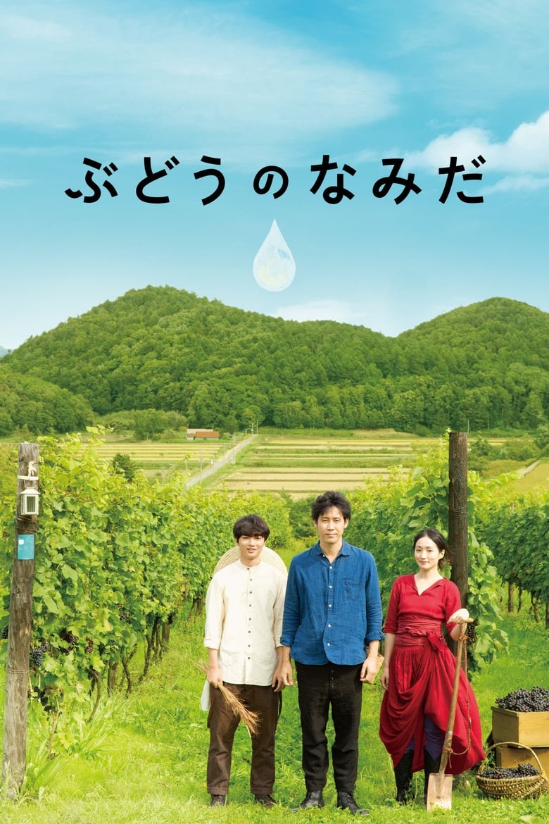 Poster of A Drop of the Grapevine