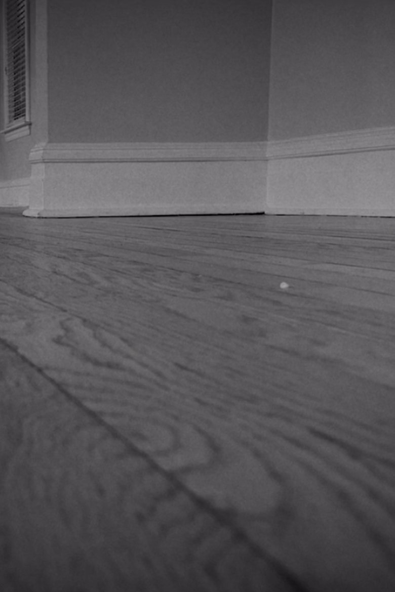 Poster of The House Is Empty