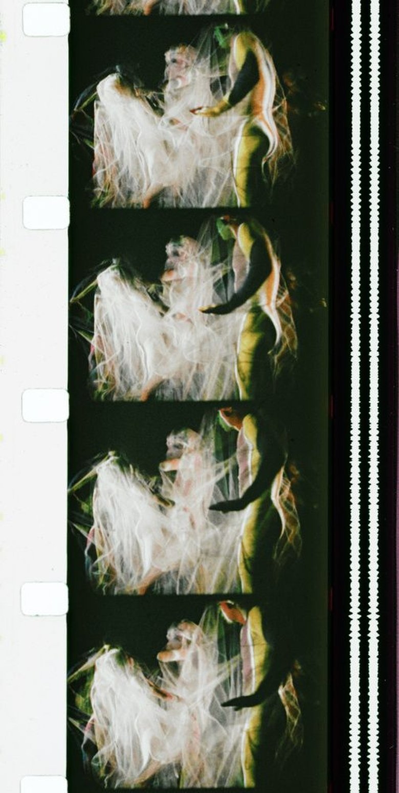 Poster of Chrysalis