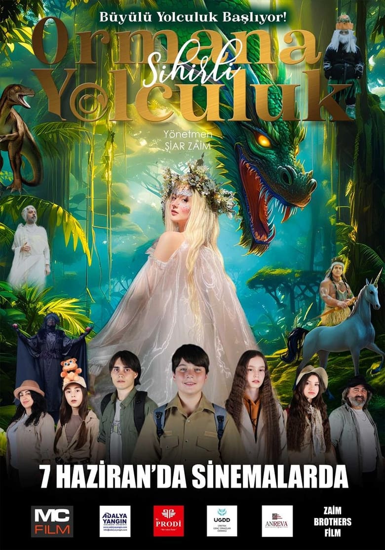 Poster of Sihirli Ormana Yolculuk