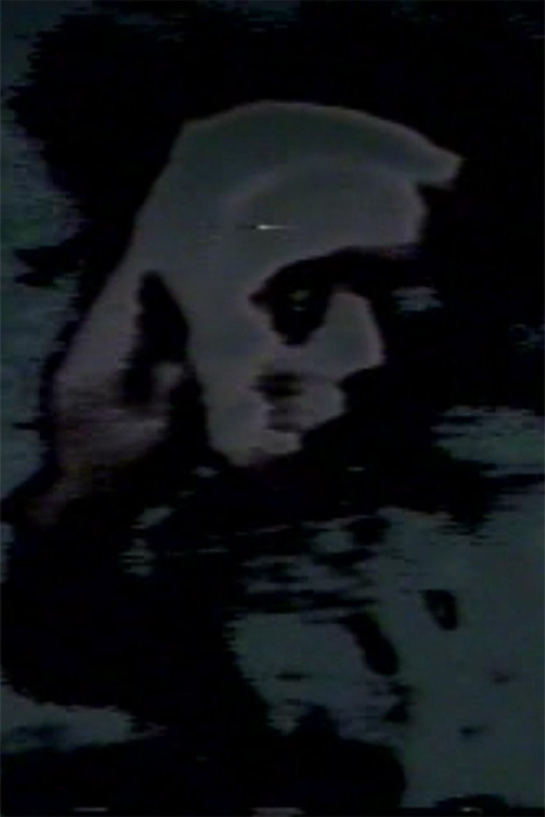 Poster of Pictures of the Lost