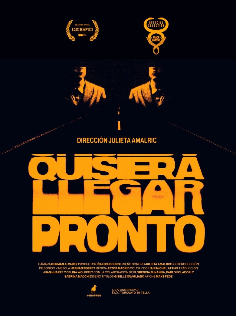 Poster of I wish I arrived soon