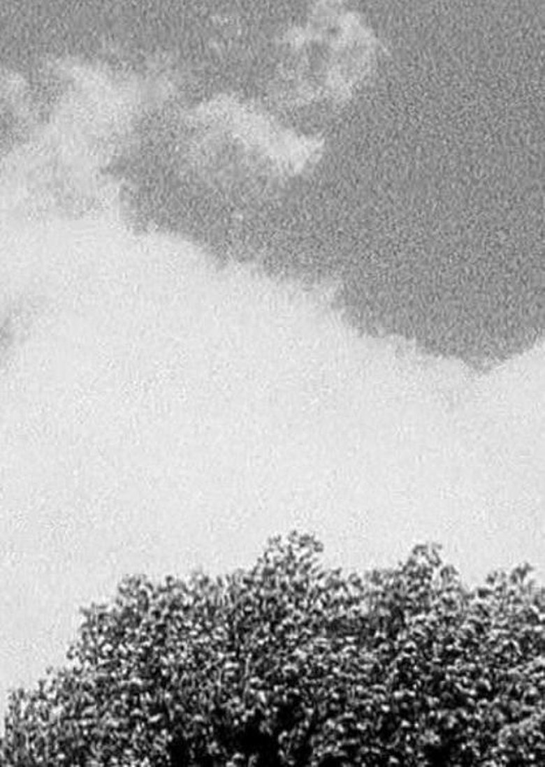 Poster of Tree & Cloud