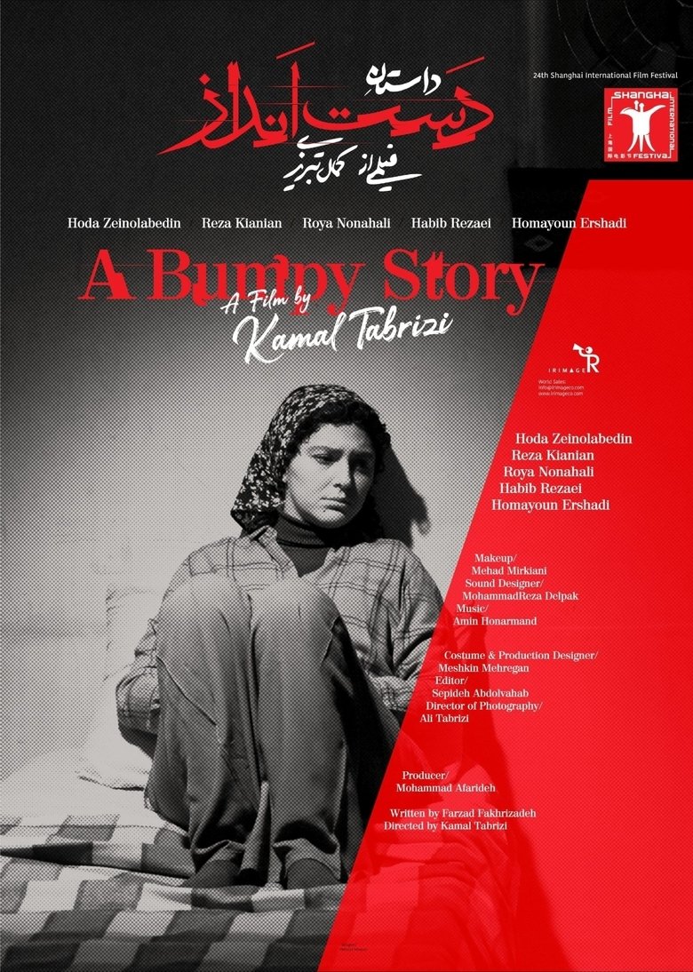 Poster of A Bumpy Story