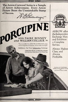 Poster of The Girl from Porcupine