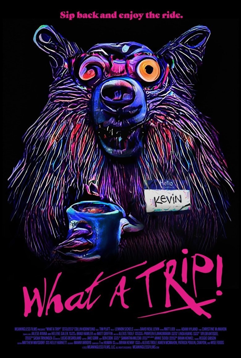 Poster of What a Trip!