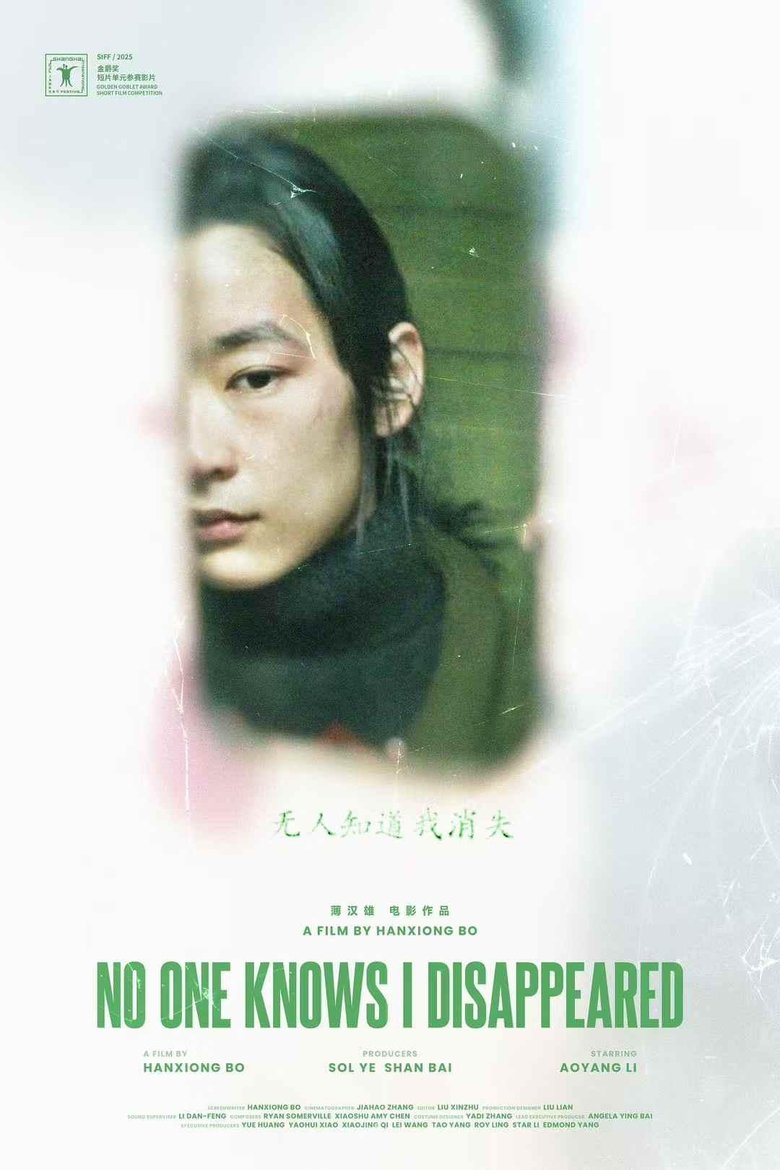 Poster of No One Knows I Disappeared