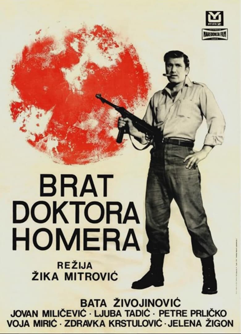 Poster of Doctor Homer's Brother