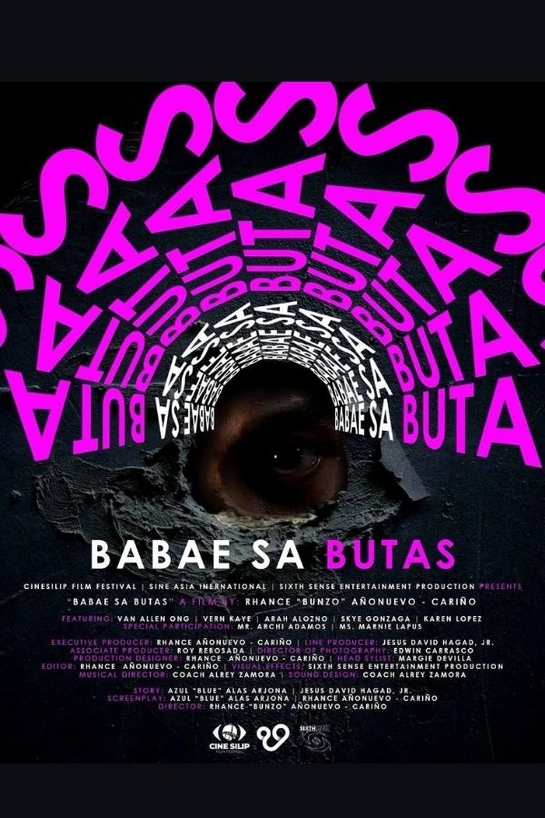 Poster of The Woman In The Hole