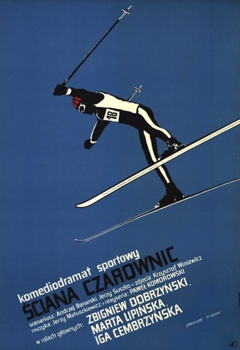 Poster of Ściana czarownic