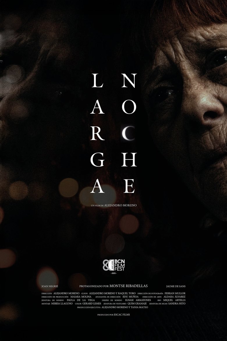 Poster of Larga Noche