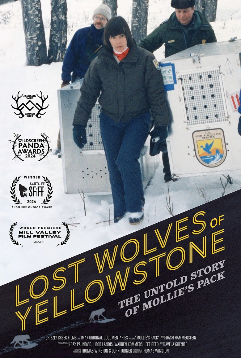 Poster of Lost Wolves of Yellowstone