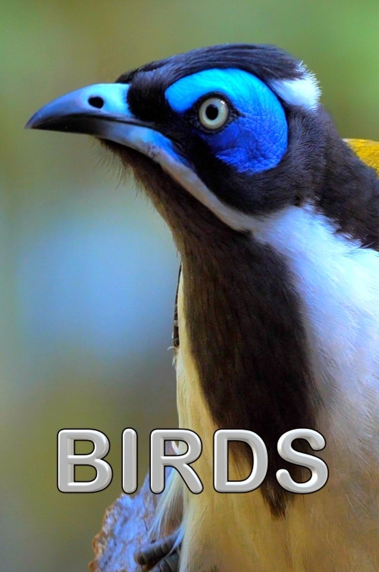 Poster of Birds