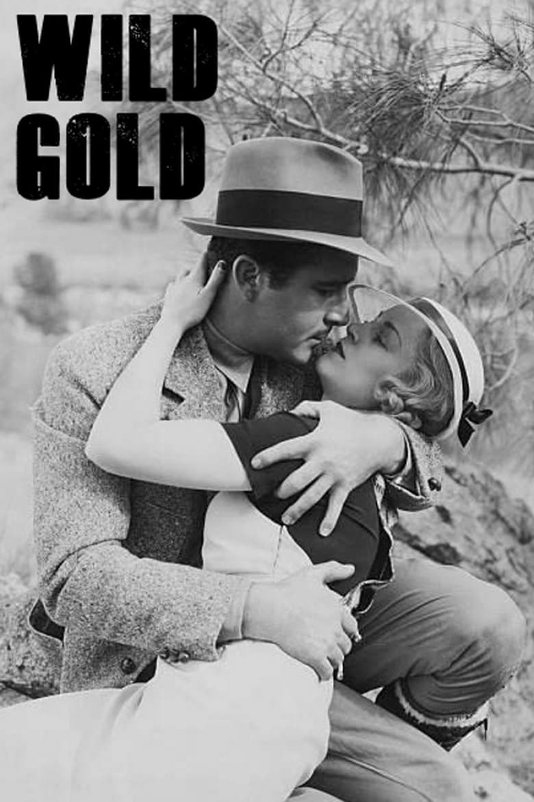 Poster of Wild Gold