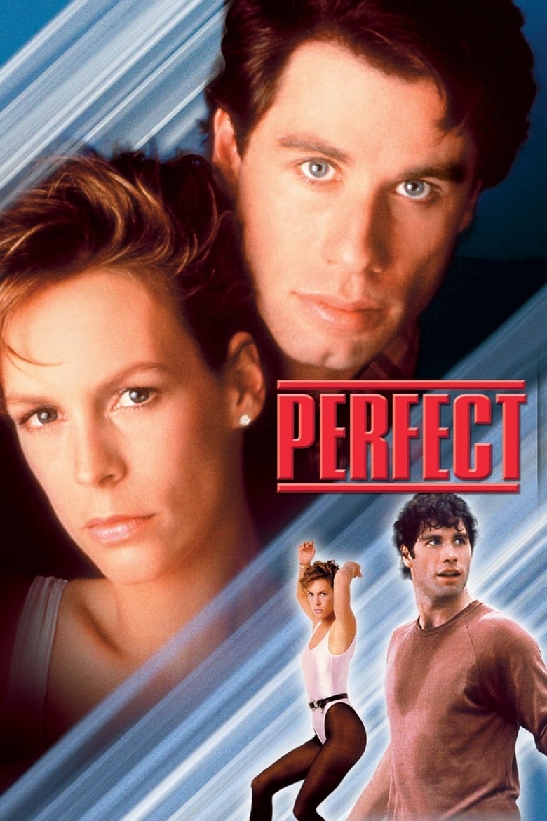 Poster of Perfect