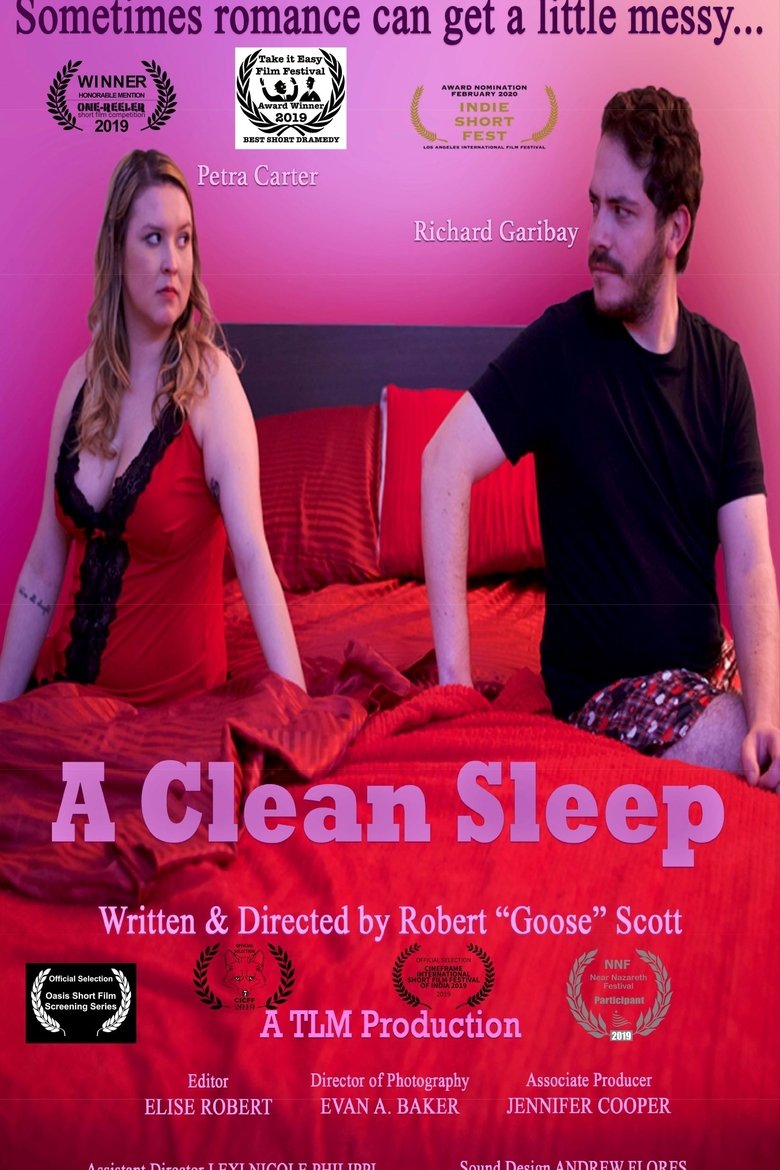 Poster of A Clean Sleep