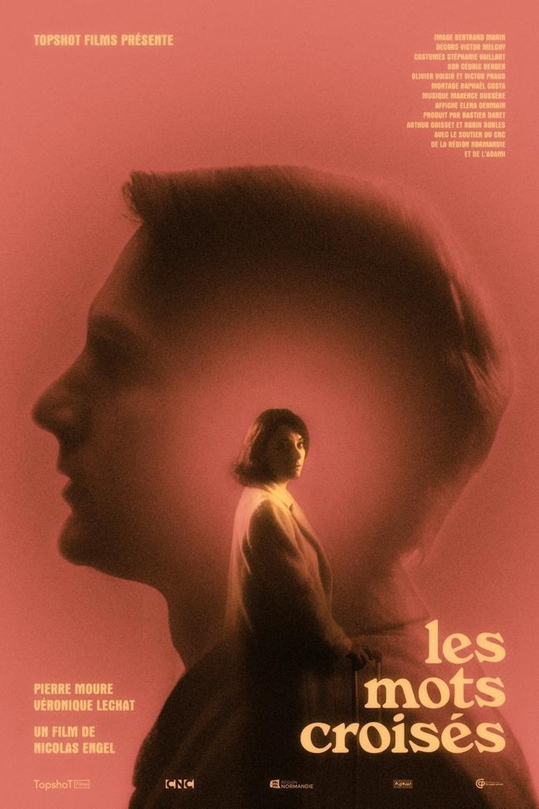 Poster of Les mots croisés