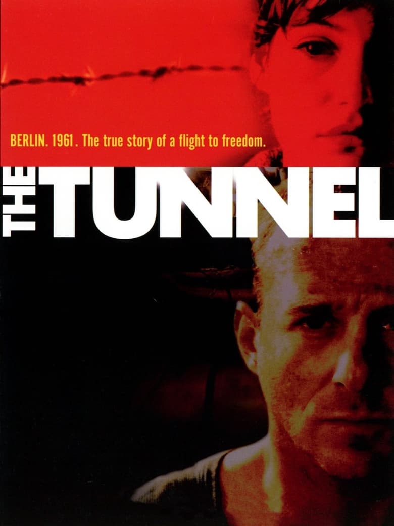 Poster of The Tunnel