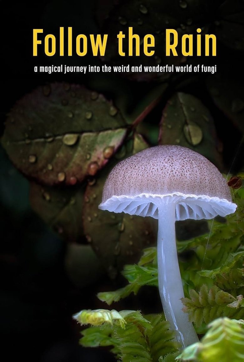 Poster of Follow the Rain