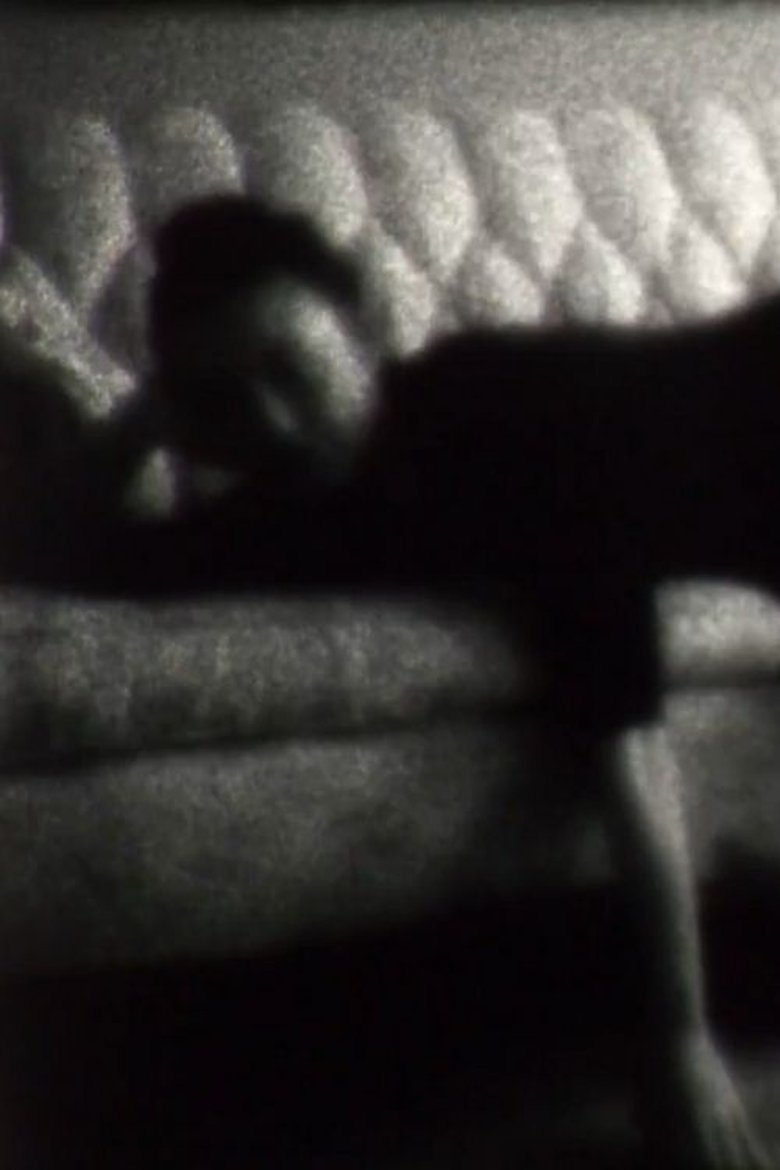 Poster of Dual Enframe