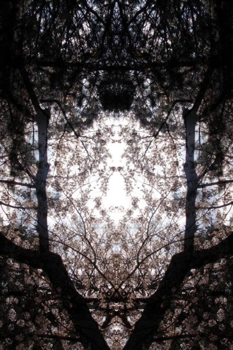 Poster of Concrescence