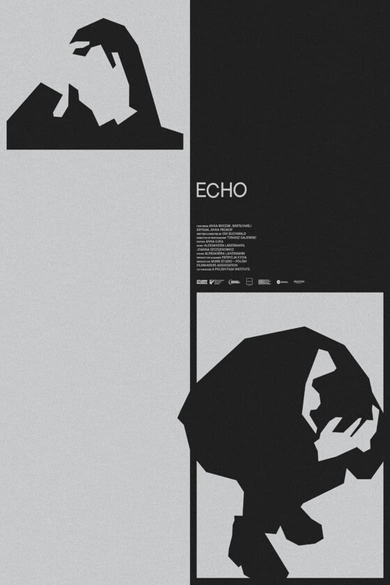 Poster of Echo