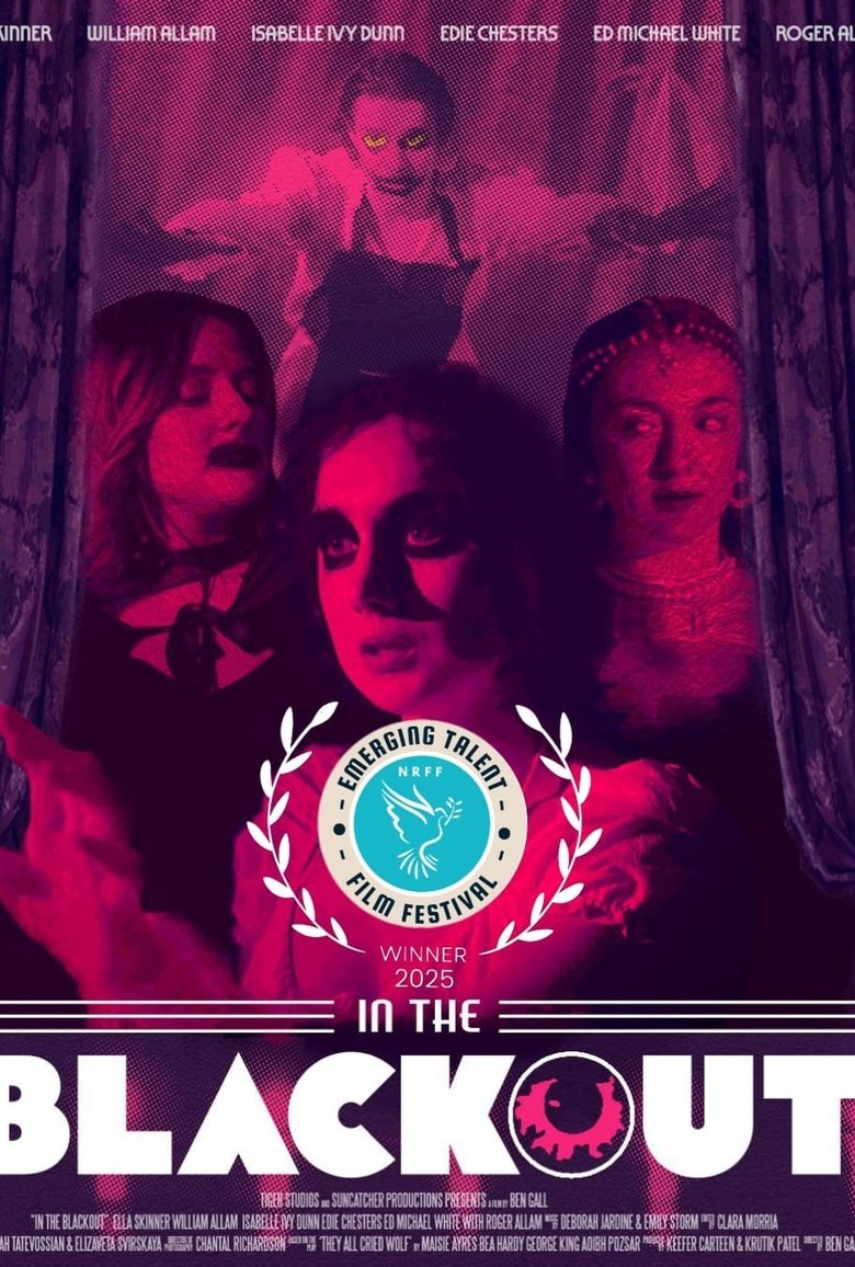 Poster of IN THE BLACKOUT