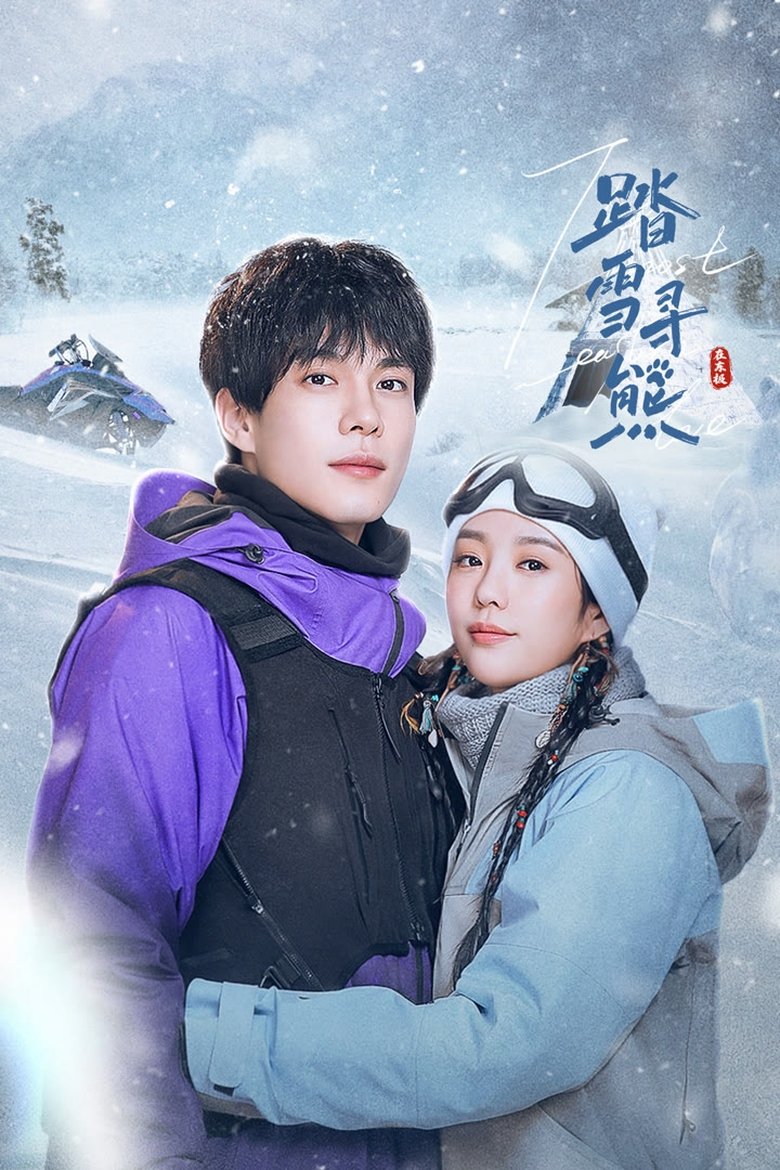 Poster of 踏雪寻熊