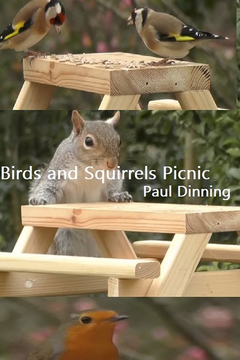 Poster of Birds and Squirrels Picnic