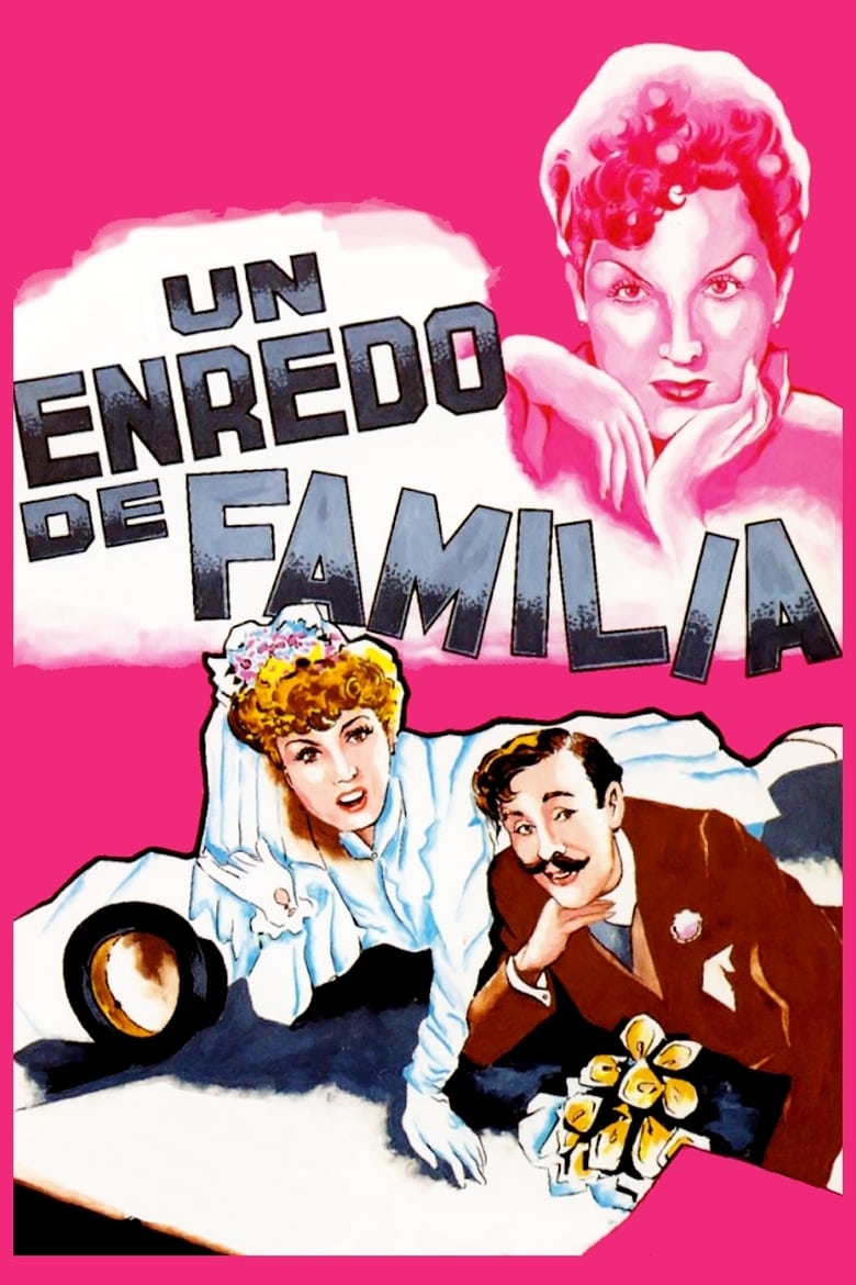 Poster of Un enredo de familia