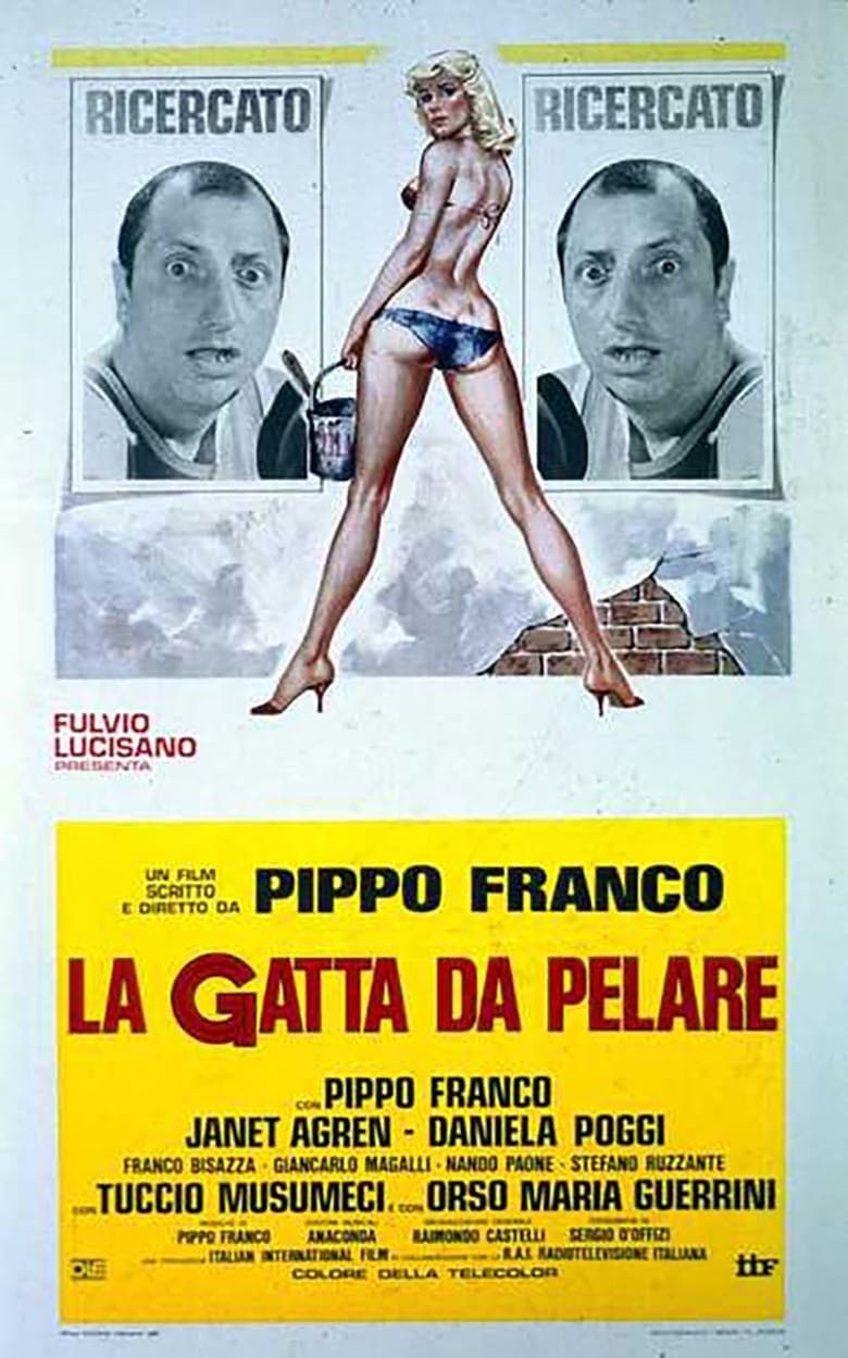Poster of La gatta da pelare